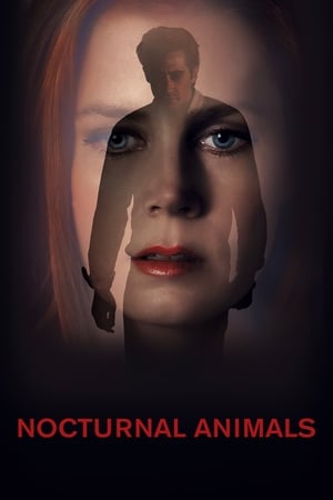 Nocturnal Animals (2016) Hindi Dual Audio 720p BluRay [1GB]