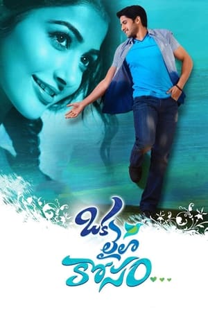 Oka Laila Kosam 2014 (Hindi – Telugu) Dual Audio 720p UnCut HDRip [1.2GB]