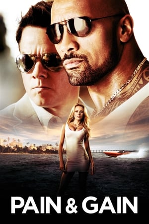 Pain & Gain 2013 400MB Dual Audio Hindi 480p Bluray Download