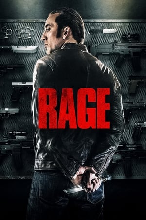 Tokarev (Rage) 2014 Hindi Dual Audio 480p BluRay 300MB